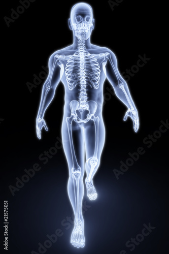 Illustration: human xray human xray