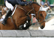 Horse jumping