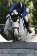 Horse jumping