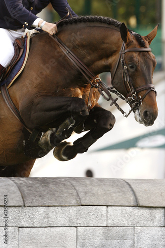 Photo: Horse jumping Horse jumping