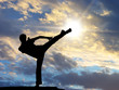 Warrior training at the sunset