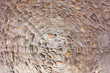 Foto: pavement of pebble pavement of pebble