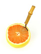 Grapefruit with fruit spoon