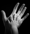 hands