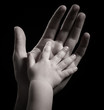 hands