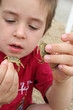 Enfant et crabes