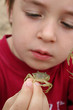 Jeu de crabes