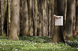 Waldpost