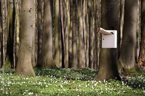 Foto: Waldpost Waldpost