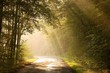 Country road through autumn forest at sunrise