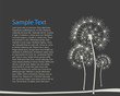 dandelion, vector illustration