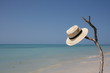 Plage tropicale