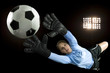 Photo: Soccer Goalie Soccer Goalie