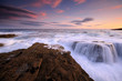 Sea Dreams