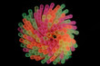 Straws