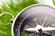 compass in green grass