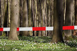 Foto: Wald Absperrband Wald Absperrband