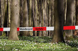 Foto: Waldbrand Gefahr Waldbrand Gefahr