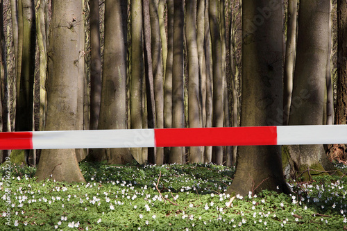Foto: Wald gesperrt Wald gesperrt