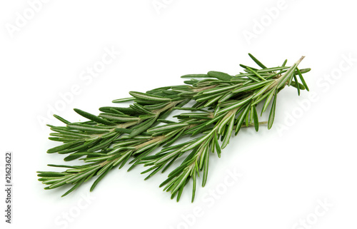 Photo: Fresh rosemary isolated on white background Fresh rosemary isolated on white background