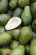 Avocats