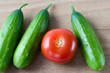 Foto: Gurken und Tomaten Gurken und Tomaten