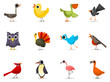 Icon Set 3 - Birds