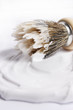 small brush