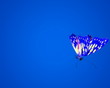 Butterfly fly on-camera PAL Butterfly fly on-camera PAL
