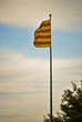 Senyera