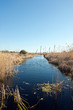 Florida Wetlands Scenic