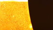 HD 1080p - Beer macro, isolated over black