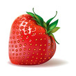 Strawberries on white background. in vector