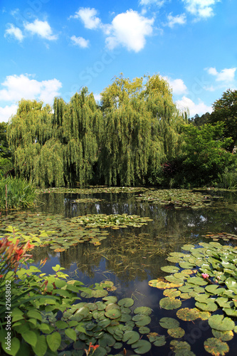 Photo: Pond and garden at Giverny, France Pond and garden at Giverny, France