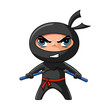 Ninja with nunchaku Ninja with nunchaku