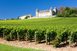 Chateau de Rully with vineyards, Burgundy, France Chateau de Rully with vineyards, Burgundy, France