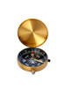 Golden compass isolated