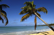 France, Martinique, plage des Salines France, Martinique, plage des Salines