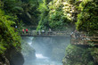 Vintgar Gorge with mist Vintgar Gorge with mist