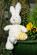 Foto: Hase mit Osterei Hase mit Osterei