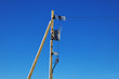 strommast mit schnee