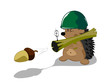 hedgehog forest hero hedgehog forest hero
