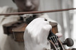violin