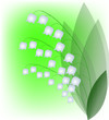 lily of the valley