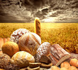 Foto: pieczywo pieczywo