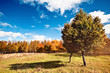 Autumn landscape
