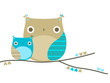 Owls