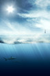Über und unter Wasser