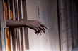 Prisoner's Arms Resting on Cell Bars Prisoner's Arms Resting on Cell Bars