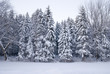 Wintery Day